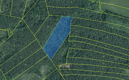 Prodej lesa 13 252 m², Jílovice - Velešovice