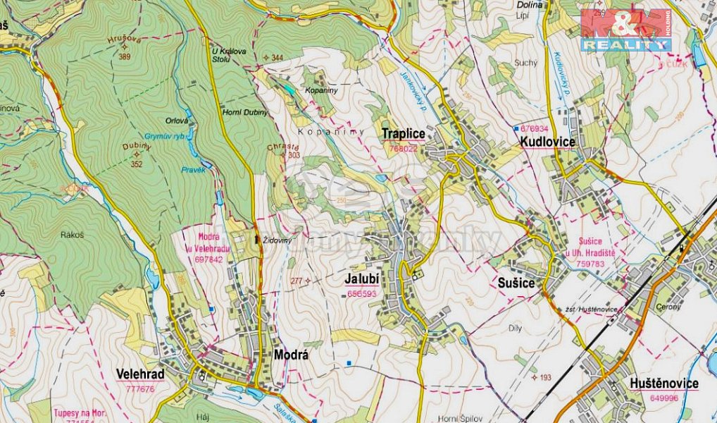 Prodej lesa 5 007 m², Traplice – náhled fotky 3