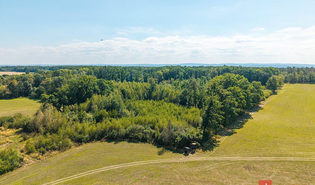 Prodej lesa 37 347 m², Pardubice – náhled fotky 6