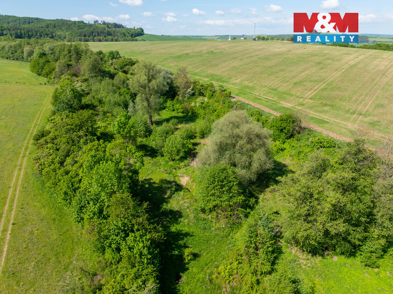 Prodej louky 29 359 m² – pohled 5