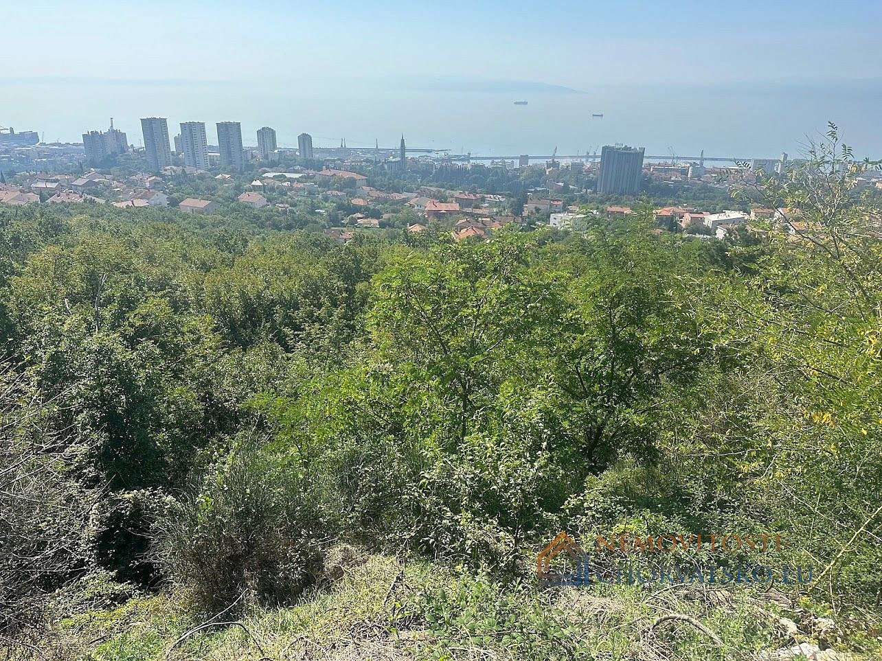 Prodej stavebního pozemku 4 000 m² - Widok 2