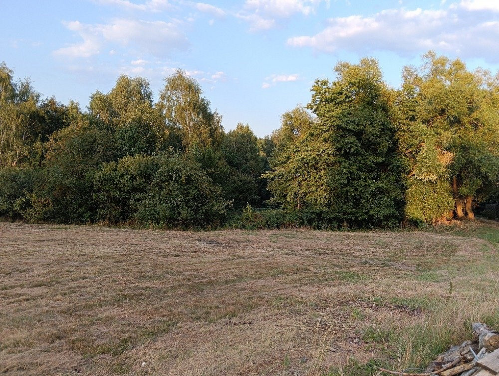 Prodej zahrady 2 000 m² – fotografie 5