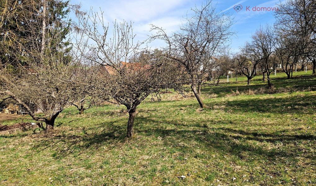 Prodej stavebního pozemku 2 619 m², Záhorovice – náhled fotky 8