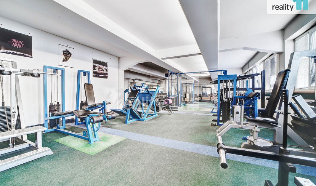 Prodej komerčního objektu (jiného typu) 4 196 m², Napajedla – náhled fotky 4