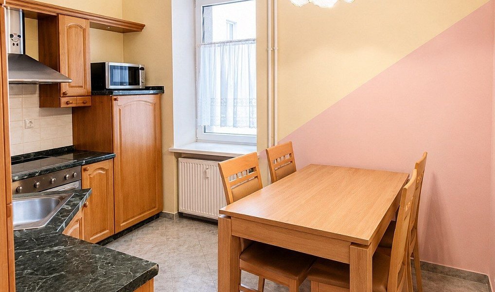 Pronájem bytu 2+1 57 m², Karlovy Vary – náhled fotky 5
