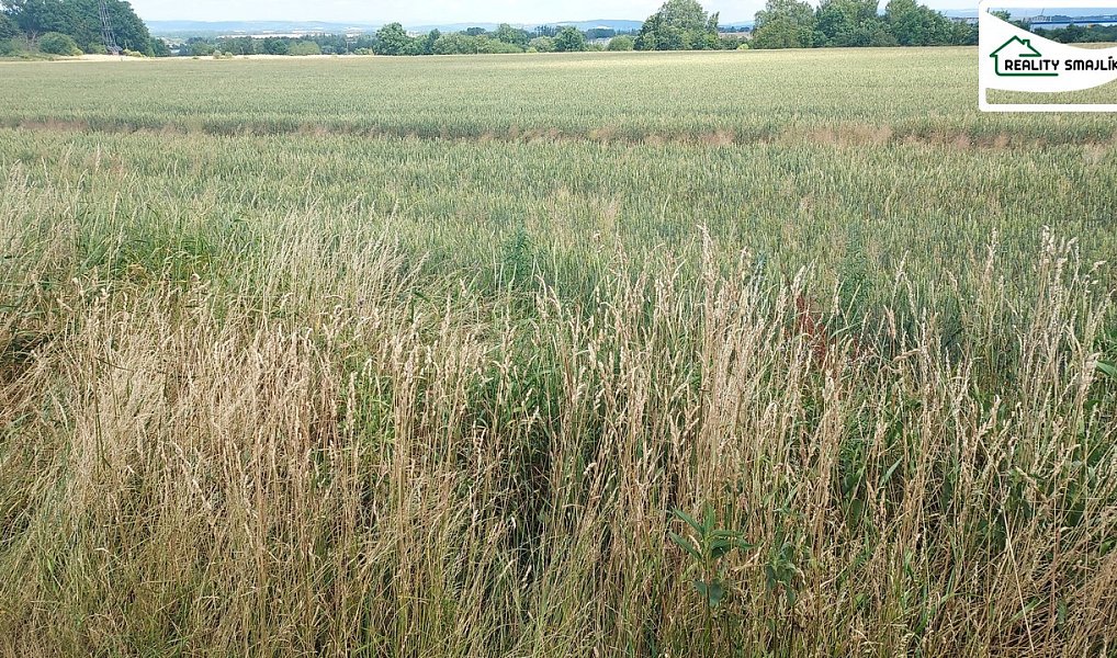 Prodej pole 99 724 m², Maňovice – náhled fotky 5