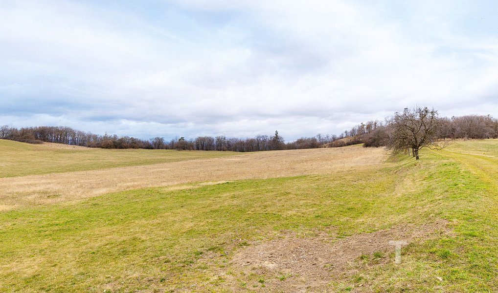 Prodej stavebního pozemku 17 205 m², Újezd u Boskovic – náhled fotky 11