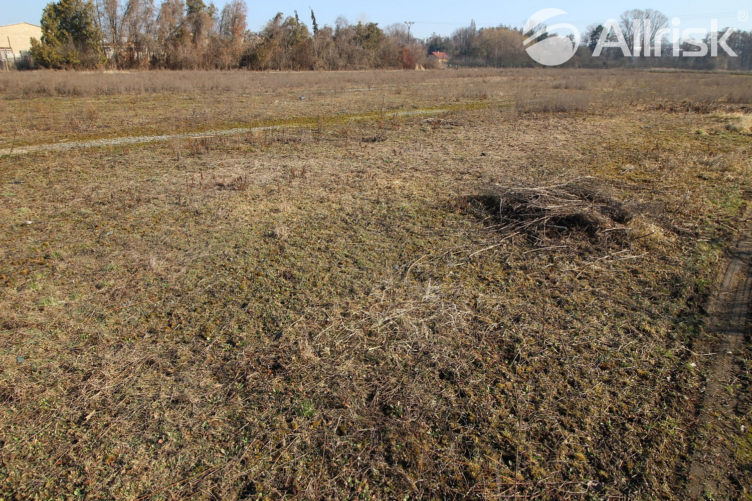 Pronájem pole 3 000 m²