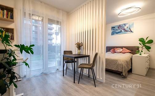 Pronájem bytu 1+kk 34 m², Šternovská, Praha 4 - Chodov, okres Praha