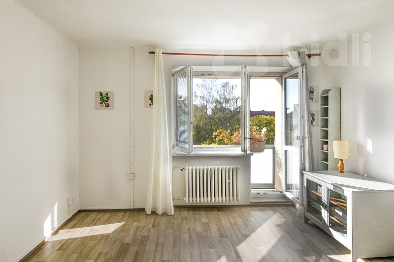 Pronájem bytu 1+1 39 m²