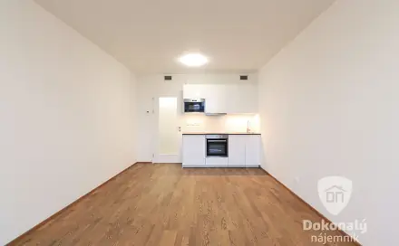 Pronájem bytu 1+kk 35 m²