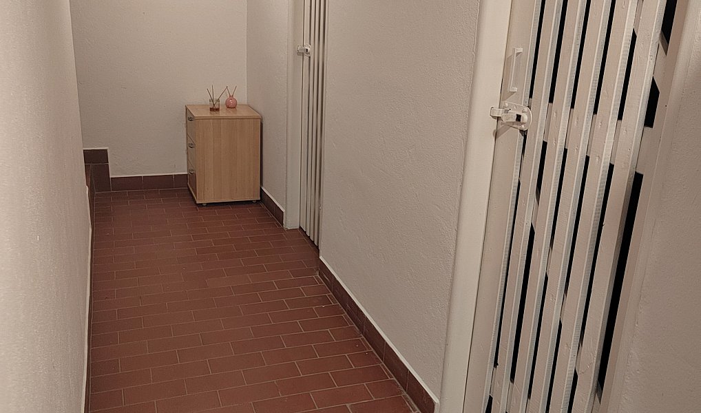 Prodej domu 94 m² s pozemkem 233 m², Zruč-Senec – náhled fotky 16