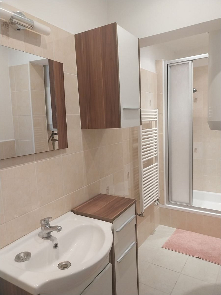 Pronájem bytu 1+1 44 m² — photo 3