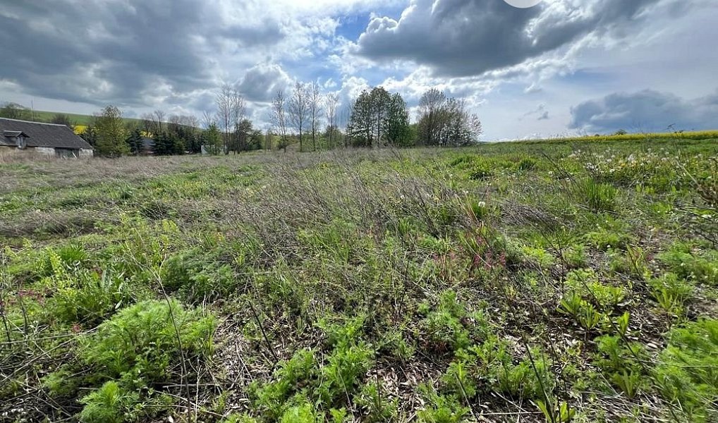 Prodej stavebního pozemku 3 978 m², Rudná pod Pradědem – náhled fotky 3