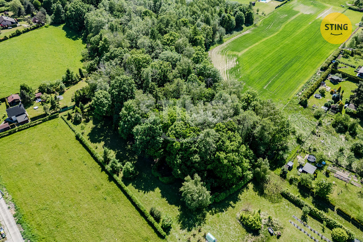 Prodej lesa 1 028 m² – fotografie 4