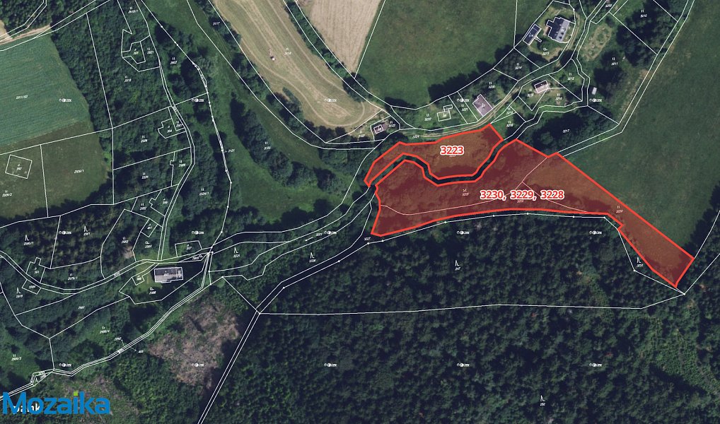Prodej louky 9 974 m², Výprachtice – náhled fotky 4