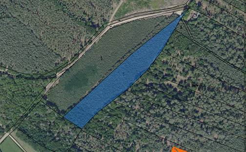 Prodej lesa 4 483 m², Lipec, okres Kolín