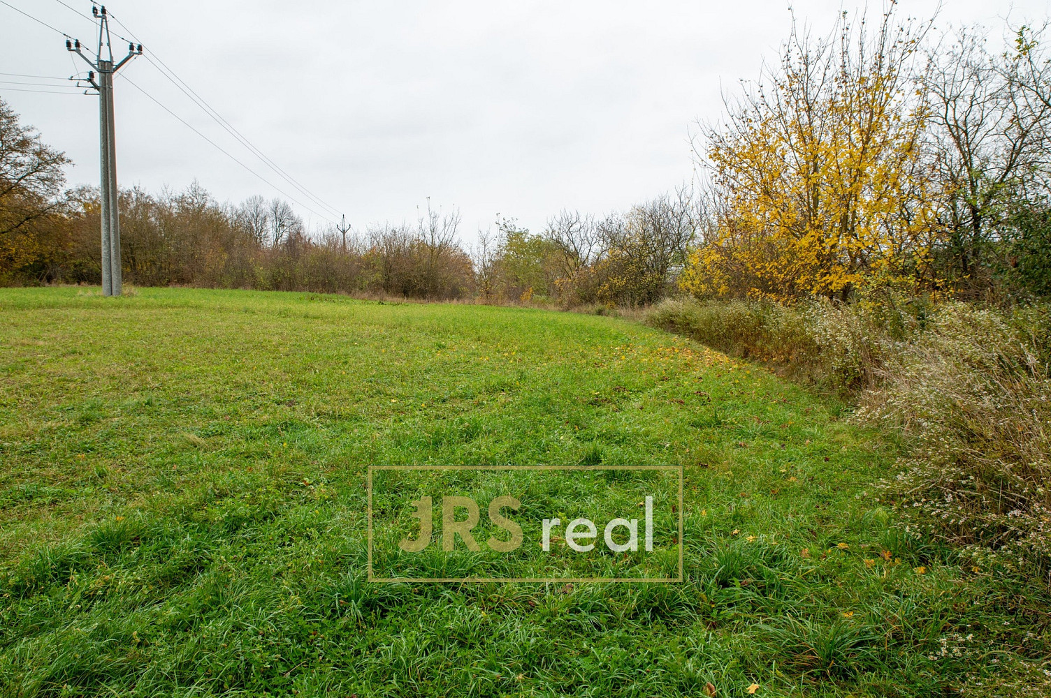 Prodej pole 791 m² — photo 4