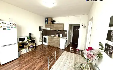 Pronájem bytu 1+1 37 m², Mánesova, Sokolov