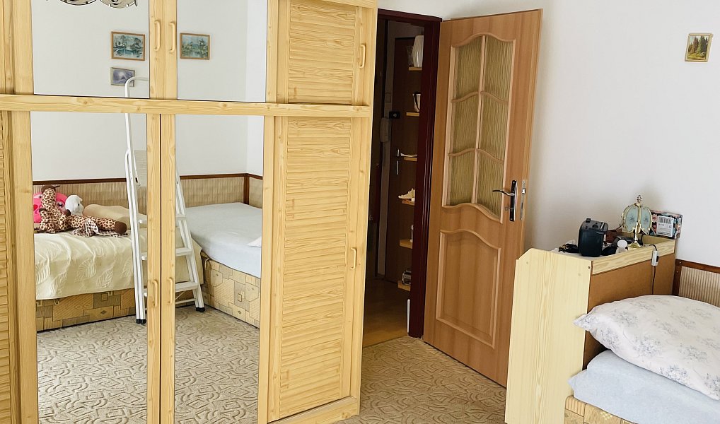 Prodej bytu 2+1 49 m², Mladá Boleslav – náhled fotky 17