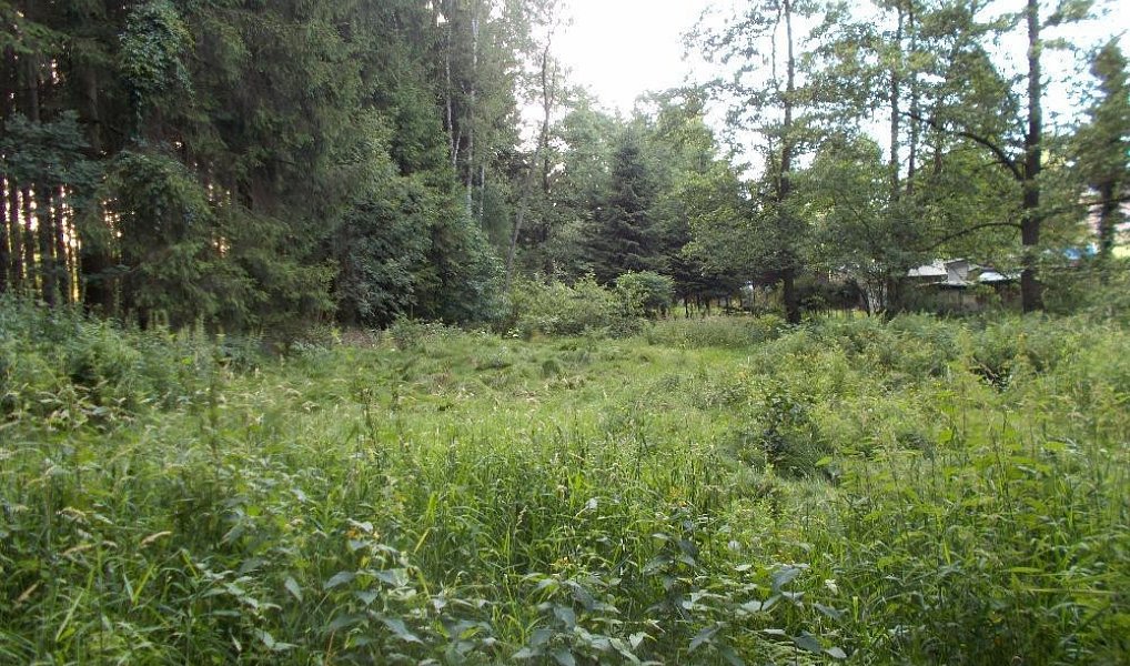 Prodej louky 3 266 m², Velký Šenov – náhled fotky 10