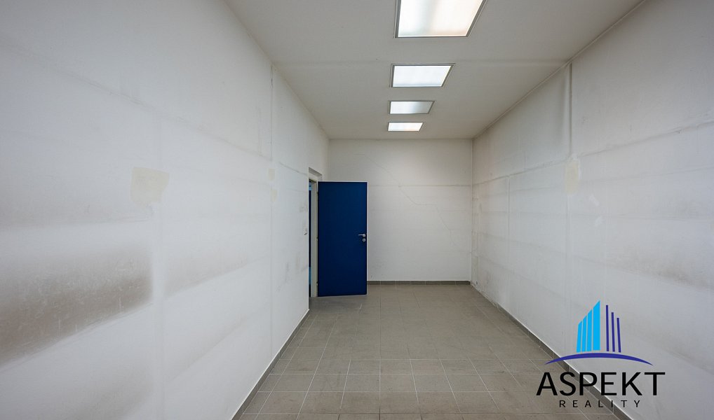 Pronájem obchodních prostor 224 m², Praha – náhled fotky 9