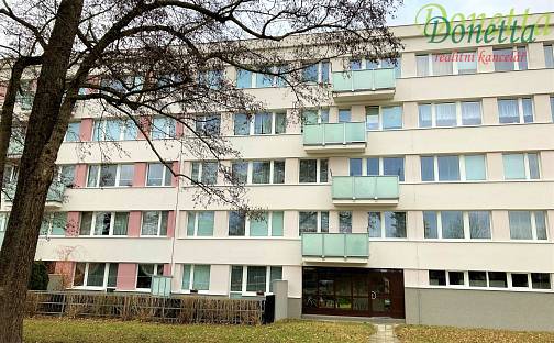 Pronájem bytu 1+kk 29 m², Na Kotli, Hradec Králové