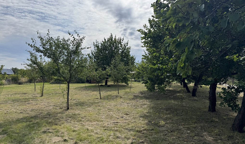 Prodej zahrady 1 171 m², Valtice – náhled fotky 4