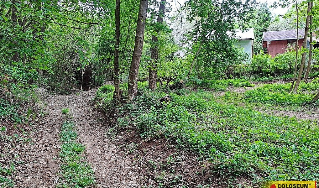 Prodej zahrady 1 242 m², Letovice – náhled fotky 9