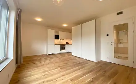 Pronájem bytu 1+kk 38 m²