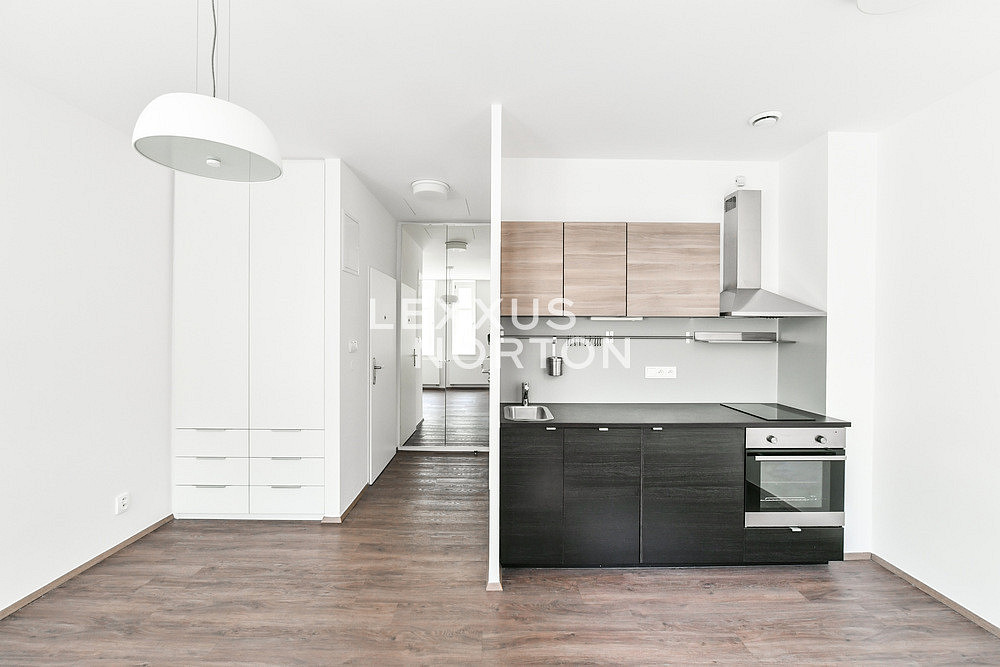 Pronájem bytu 1+kk 30 m²