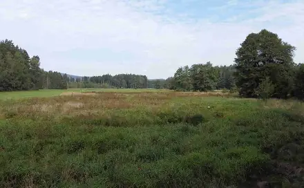 Prodej pole 52 176 m², Rozvadov, okres Tachov