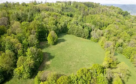 Prodej louky 27 274 m², Děčín - Děčín XXXIV-Chlum