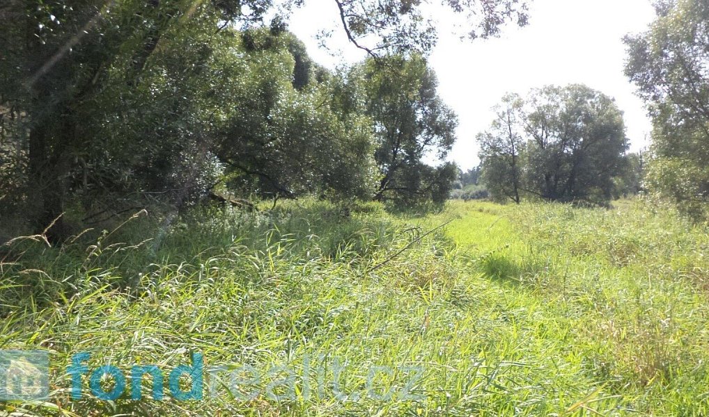 Prodej pozemku 828 m², Přešťovice – náhled fotky 2