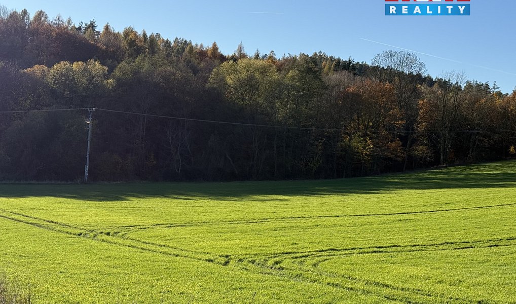 Prodej lesa 1 901 m², Velká Polom – náhled fotky 12