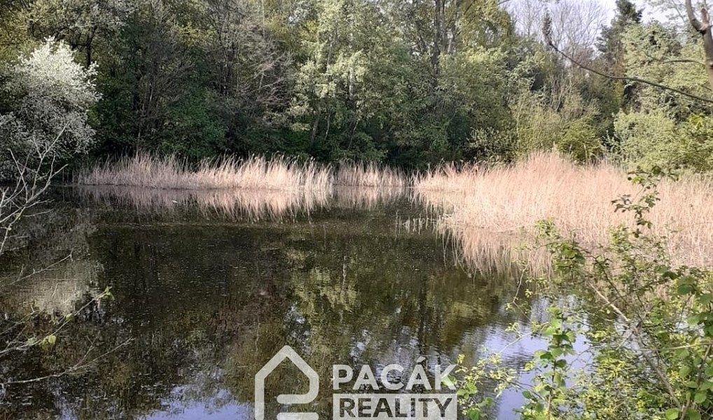 Prodej pole 15 995 m², Kožušany-Tážaly – náhled fotky 11