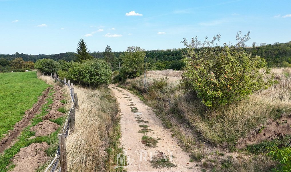 Prodej stavebního pozemku 1 196 m², Louny – náhled fotky 9