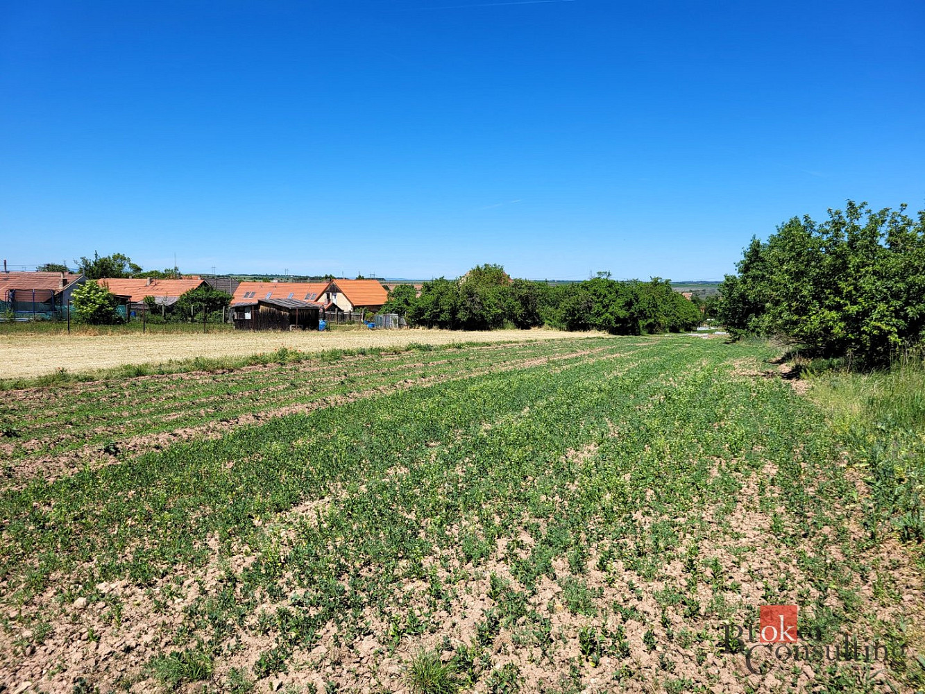 Prodej stavebního pozemku 1 399 m² – fotografie 4