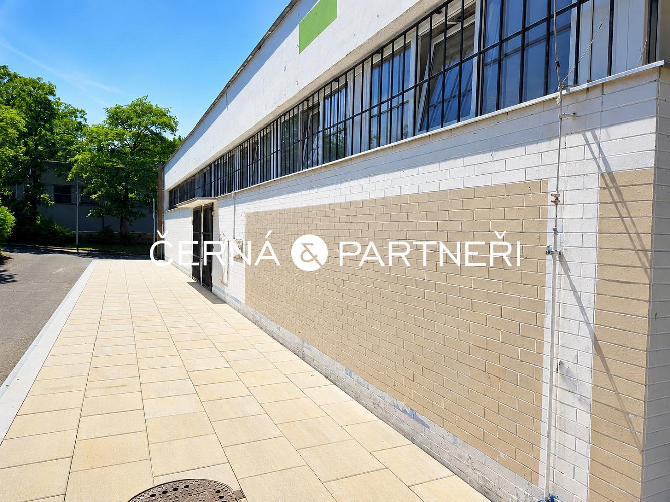 Pronájem obchodních prostor 571 m² — photo 4