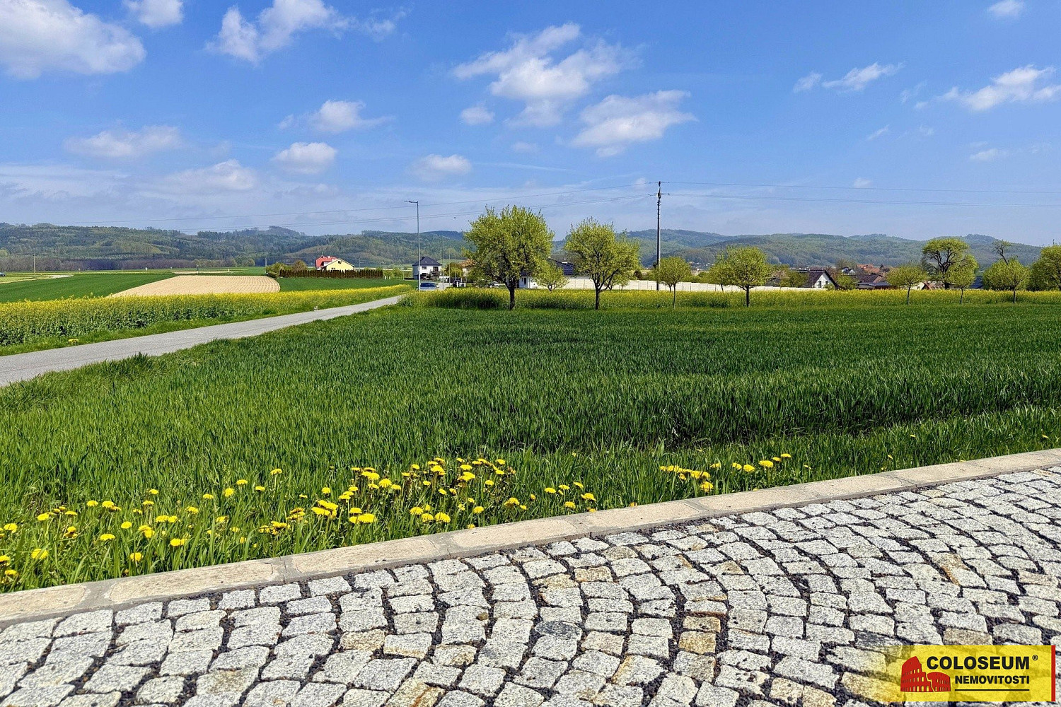 Prodej stavebního pozemku 3 940 m² – fotografie 4