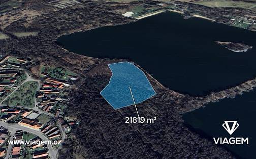 Prodej lesa 1 363 m², Poděbrady, okres Nymburk