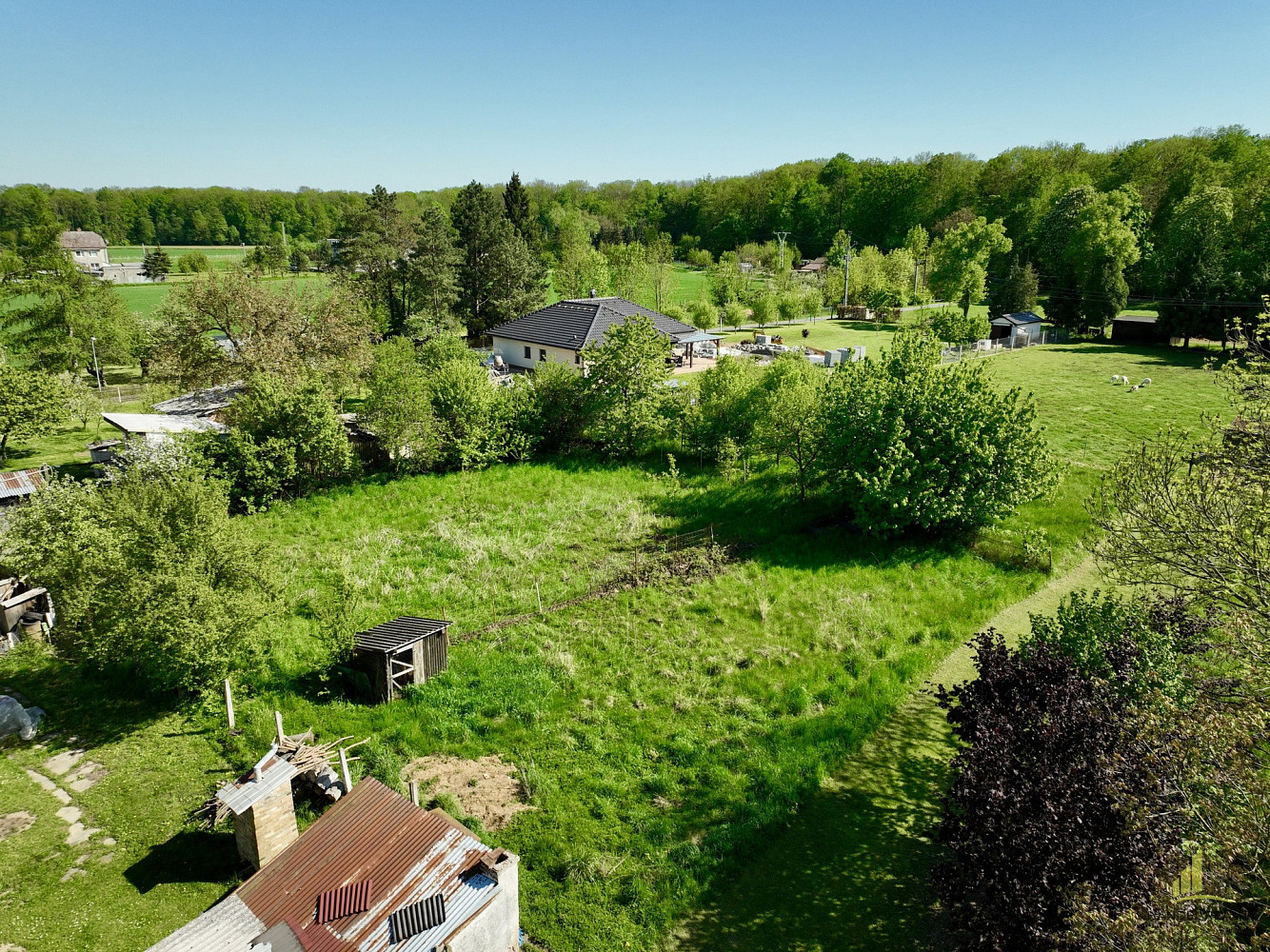 Prodej stavebního pozemku 1 555 m² – fotografie 3