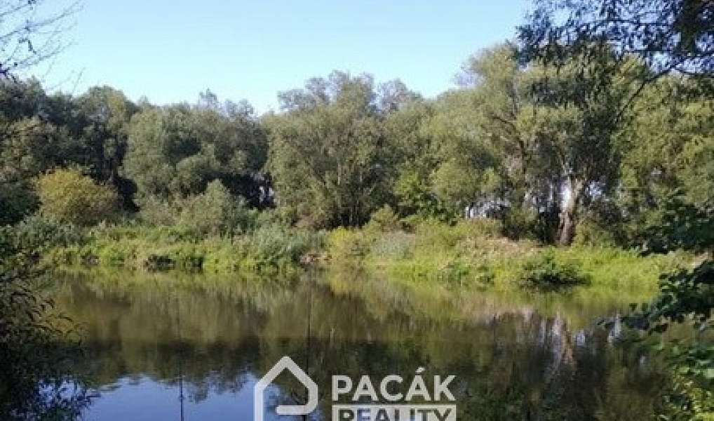 Prodej pozemku 15 995 m², Kožušany-Tážaly – náhled fotky 8