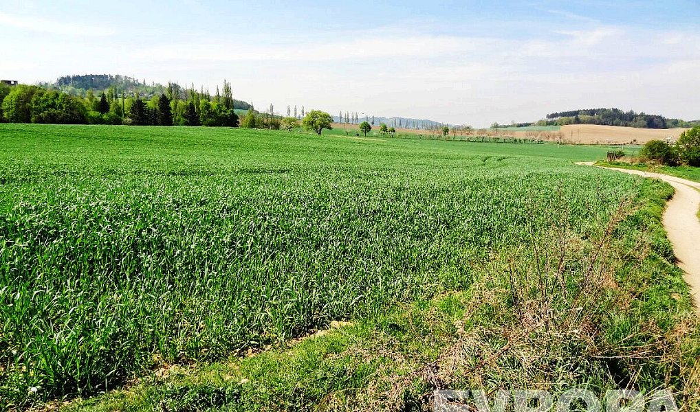 Prodej stavebního pozemku 1 314 m², Sedlčany – náhled fotky 6
