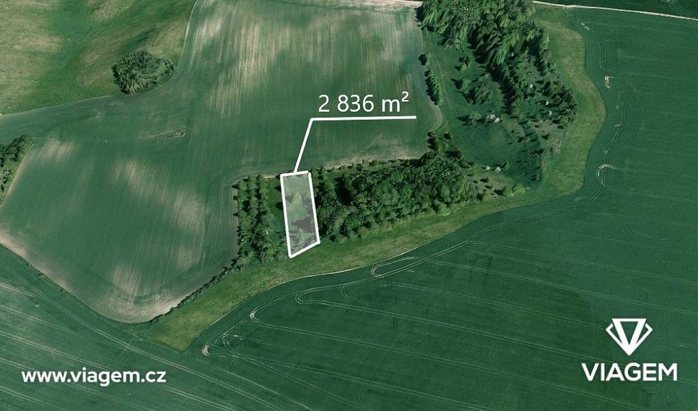 Prodej zahrady 2 836 m², Bošovice – náhled fotky 3