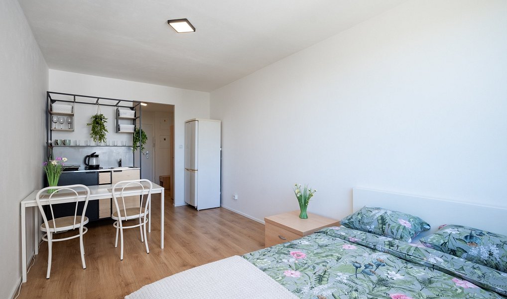 Prodej bytu 1+kk 24 m², Praha – náhled fotky 8
