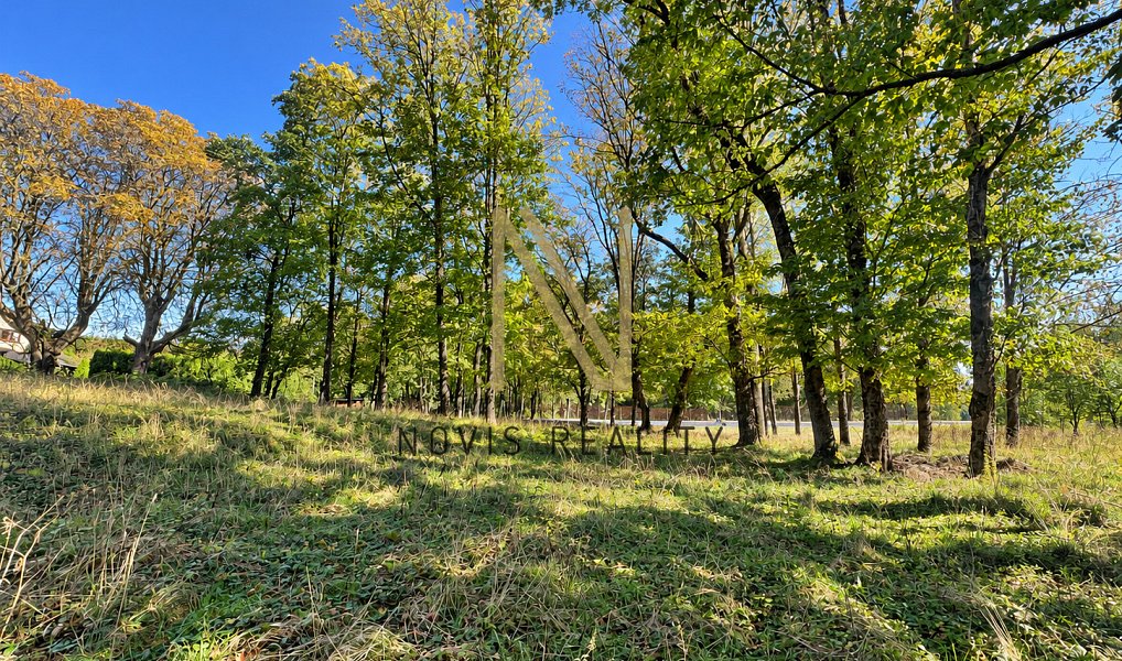Prodej domu 65 m² s pozemkem 6 057 m², Hazlov – náhled fotky 22
