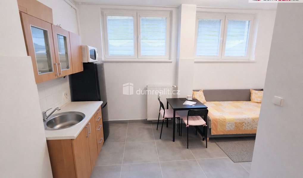 Pronájem bytu 1+kk 21 m², Praha – náhled fotky 3