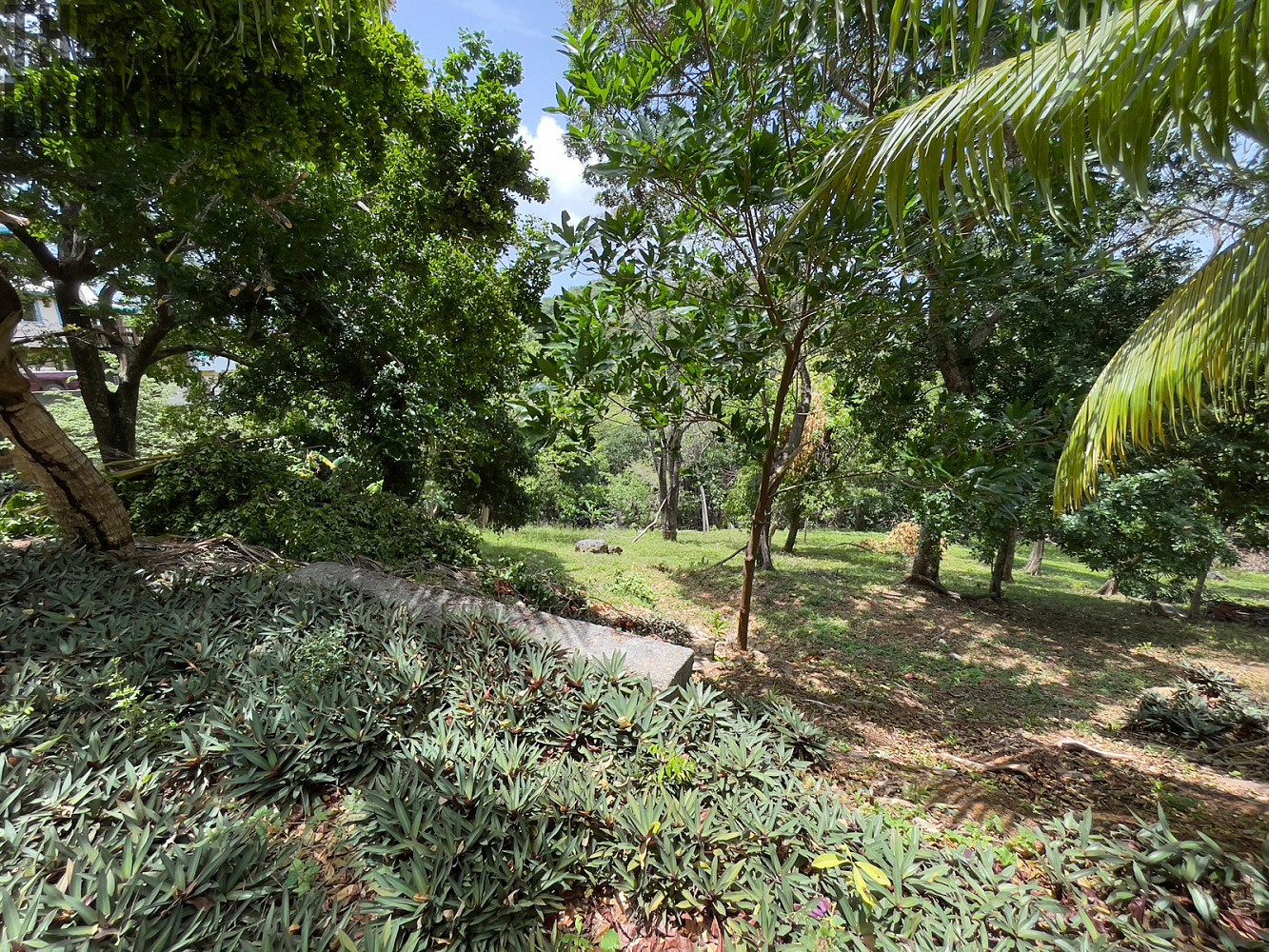 LOT 10 Bodden Bight Estate, Roatan – další
