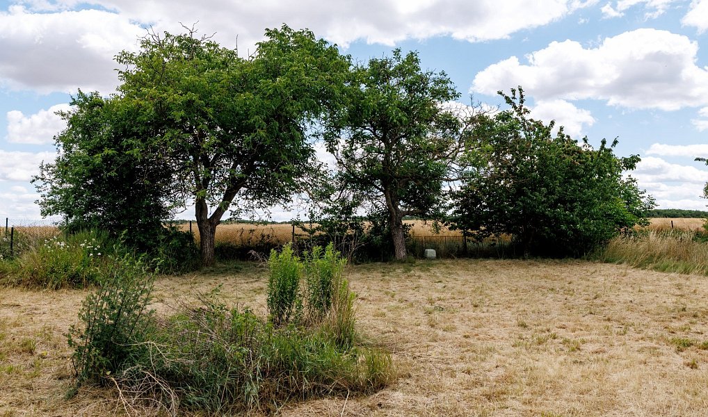 Prodej domu 206 m² s pozemkem 1 400 m², Cvrčovice – náhled fotky 27